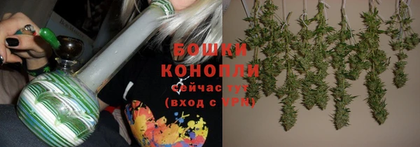 герыч Долгопрудный