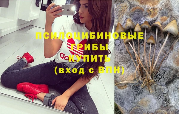 а пвп мука Медвежьегорск