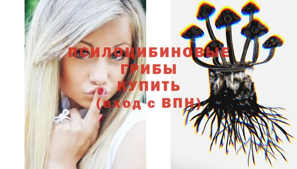 стафф Орехово-Зуево
