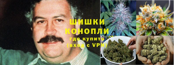 ALPHA PVP Мегион