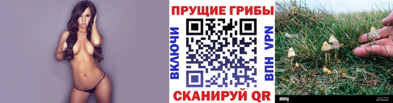 Галлюциногенные грибы GOLDEN TEACHER  Елизаветинская 