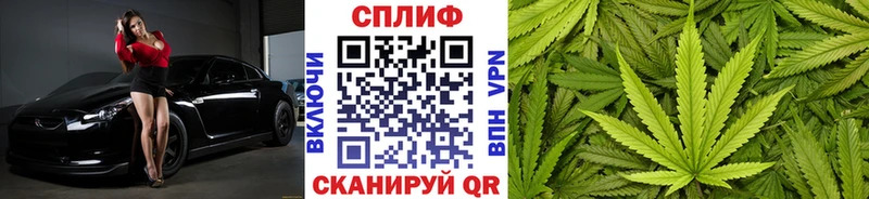 Бошки марихуана SATIVA & INDICA  Елизаветинская 
